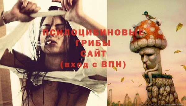 мет Арсеньев