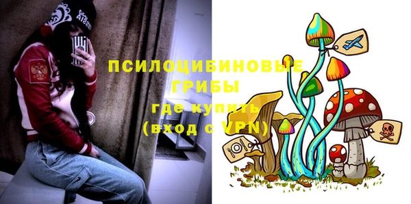 мет Арсеньев