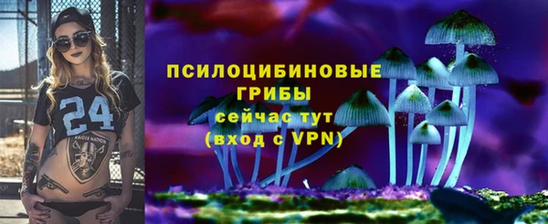 амф Аркадак
