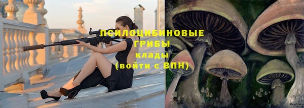 мет Арсеньев